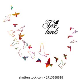 Bird watercolor. A flock of colorful birds. Mixed media. Vector illustration