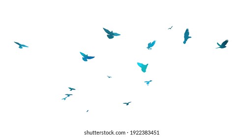 Bird watercolor. A flock of colorful birds. Mixed media. Vector illustration