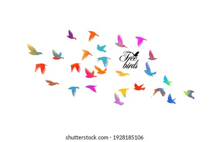 462,458 Colorful bird Stock Vectors, Images & Vector Art | Shutterstock