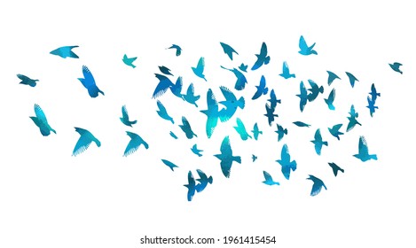 Bird watercolor. A flock of colorful birds. Mixed media. Vector illustration