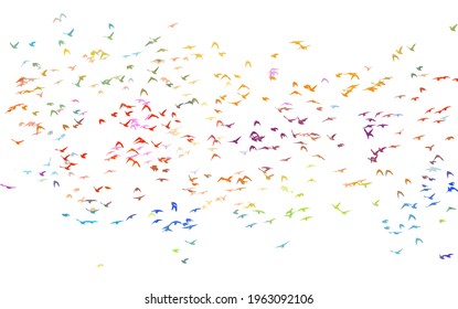 Bird watercolor. A flock of colorful birds. Mixed media. Vector illustration