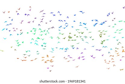 Bird watercolor. A flock of colorful birds. Mixed media. Vector illustration