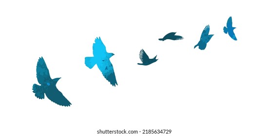 Bird watercolor. A flock of colorful birds. Mixed media. Vector illustration