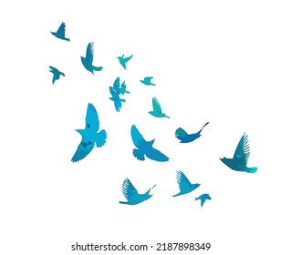 Bird watercolor. A flock of colorful birds. Mixed media. Vector illustration