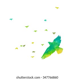 Bird watercolor. A flock of colorful birds. Vector