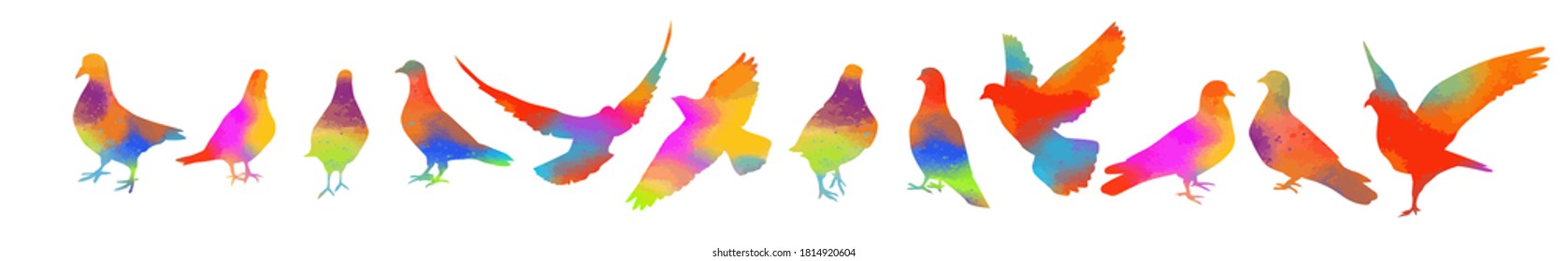 Bird watercolor. Set Colorful pigeons. T-shirt print. Vector illustration