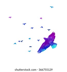 Bird Watercolor. Vector