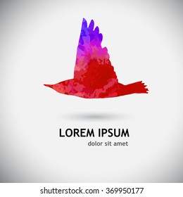 Bird watercolor. Vector