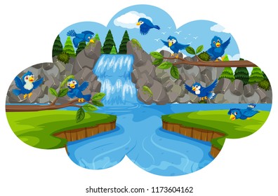Bird at the waterfall illustration