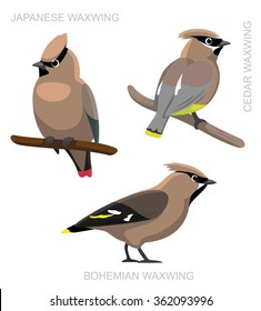 Bird Waxwing Set Cartoon Vector Illustration