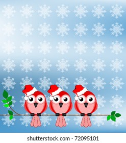 Bird wearing Santa hats sat on a branch