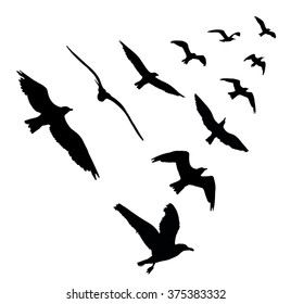 Similar Images, Stock Photos & Vectors of A flock of birds (pigeons) go ...