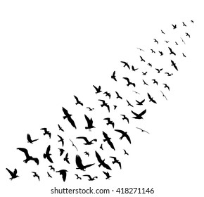 Bird wedge silhouettes on white background. Vector illustration