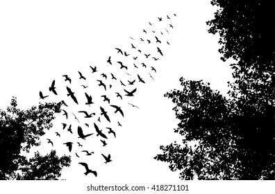 Bird wedge and trees silhouettes on white background. Vector illustration