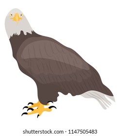 
Bird with white head and brown body symbolizing fish eagle 
