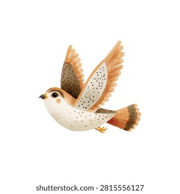 Bird with white and orange wings flying