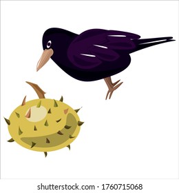 The bird who wants to eat chestnut