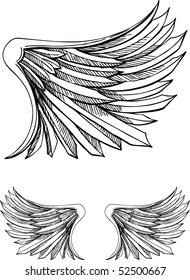 Bird Wing