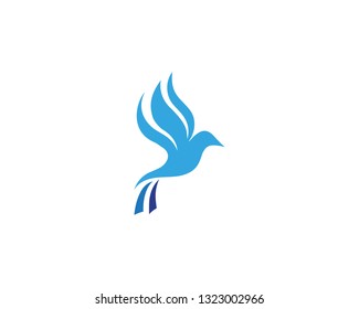Bird and wing animal logo vector