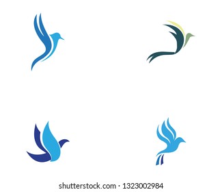 Bird and wing animal logo vector