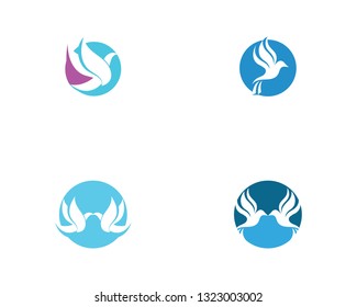Bird and wing animal logo vector