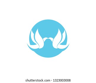 Bird and wing animal logo vector
