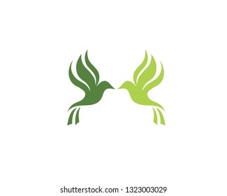 Bird and wing animal logo vector
