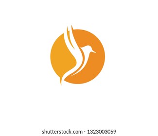 Bird and wing animal logo vector