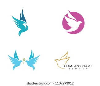 Bird wing Dove Logo Template vector illustration