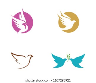Bird wing Dove Logo Template vector illustration