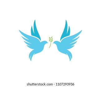 Bird wing Dove Logo Template vector illustration