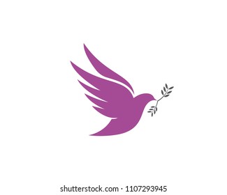 Bird wing Dove Logo Template vector illustration