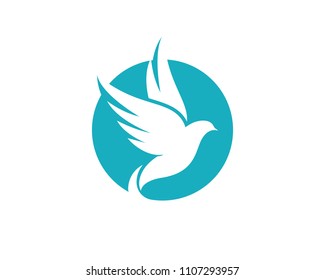 Bird wing Dove Logo Template vector illustration