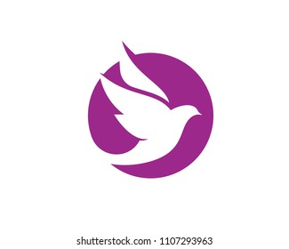 Bird wing Dove Logo Template vector illustration