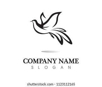 Bird wing Dove Logo Template vector illustration
