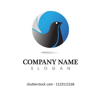 Bird wing Dove Logo Template vector illustration