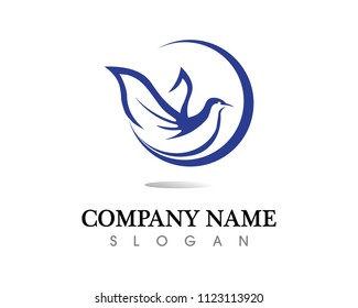 Bird wing Dove Logo Template vector illustration