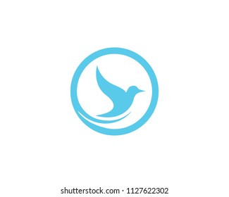 Bird wing Dove Logo Template vector illustration
