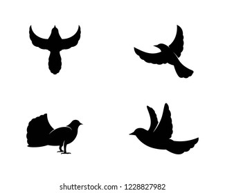 Bird wing Dove Logo Template vector illustration
