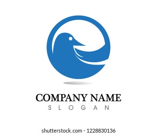 Bird wing Dove Logo Template vector illustration
