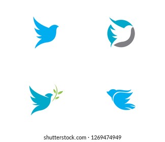 Bird wing Dove Logo Template vector illustration