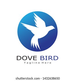 Bird wing Dove Logo Template vector illustration