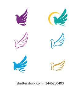 Bird wing Dove Logo Template vector illustration