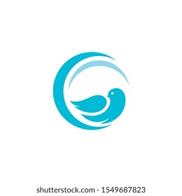 Bird wing Dove Logo Template vector illustration