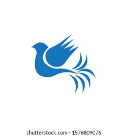 Bird wing Dove Logo Template vector illustration
