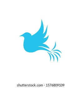 Bird wing Dove Logo Template vector illustration
