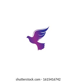 Bird wing Dove Logo Template vector illustration