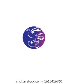 Bird wing Dove Logo Template vector illustration