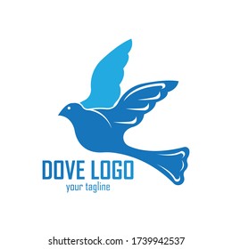 Bird wing Dove Logo Template vector illustration
