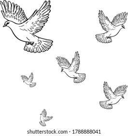 	
Bird wing Dove Logo Template vector illustration